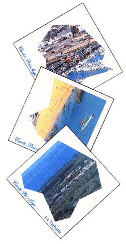 les pièces du puzzle carte privilège la turballe