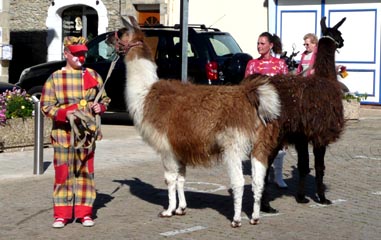 cirque lucien friteau à la turballe